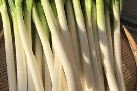 最終販売！深谷ネギ(剥きネギ）！お買い得　5ｋｇ