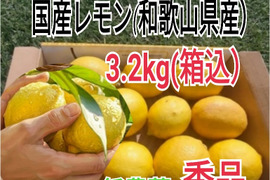 大好評【4/中旬収穫】皮ごと使える❣国産ユーレカレモン3 kg(箱込）