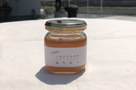 ≪山梨県南アルプス≫日本みつばちのハチミツ（120ｇ）