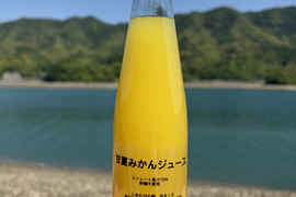 【日本の柑橘】生搾り果汁100%ストレートジュース（熊本特産 甘夏みかん）栽培期間中農薬、化学肥料不使用 6本（1本200ml）