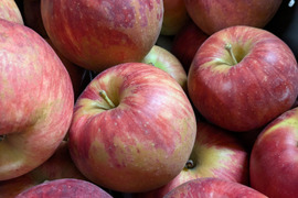 信州りんごプライスダウン🍎4キロ(ふじ小玉極小玉)
