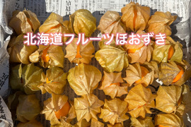 食用ほおずきの通販｜食べチョク｜産地直送(産直)お取り寄せ通販