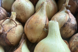 青森県産 令和8年産にんにく S〜SSサイズ混合 約1kg：青森県産のその他