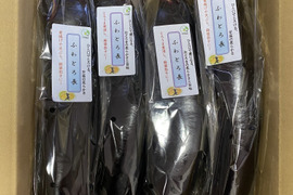 黒艶と重厚感！ふわとろ～長なす10本
