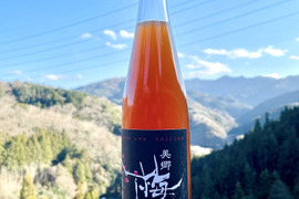 甘くない上にスッキリ呑める辛口梅酒「梅しずく」500ml　アルコール度数15度