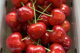 【2026年6月中旬予約】やまがた紅王🍒さくらんぼ新品種！パックバラ３Lサイズ