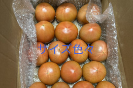 サイズ色々★80サイズ箱詰め合わせ