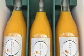 温州みかんジュース3本セット