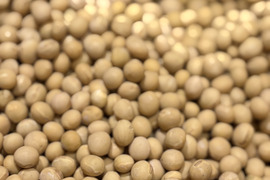 訳アリ🉐【北海道産】農薬･化学肥料･除草剤不使用‼️濃厚で美味🌟希少品種『鶴の子大豆』‼️800g✉メール便