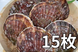 旨くてあまい！3年貝野辺地ホタテ！15枚
