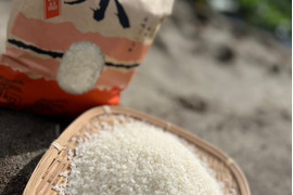 令和7年産・新米【にこまる】種子消毒なし5㎏