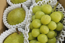 完熟シャインマスカット&ラ・フランスセット(小)