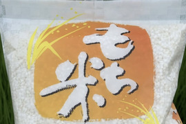 お祝いの日に！そうでない日も！もち米5キロ