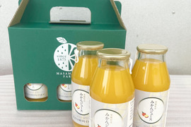 みかんジュース180ml×3本