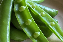 スナップえんどう｜豆まで甘い春の味 五島産 800g