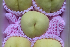 訳あり大寿蜜桃朝どり直送便1.5kg(4〜6玉入り)