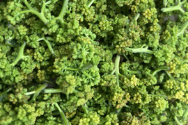 京都産　天然　花山椒　150グラム　B品