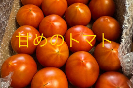少し甘いトマト🍅80サイズ箱詰め