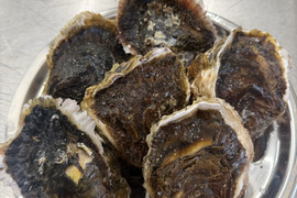 【広田湾米崎産】岩牡蠣 ３Ｓｻｲｽﾞ５個（生食用）