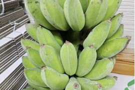 【お試し価格】アップルバナナ！3kg