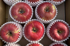 小傷あり 大玉サンふじ 5キロ箱 10～13玉 長野県産