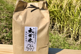 特別栽培【令和4年産】蛇紋岩コシヒカリ白米2kg お米「太田米」