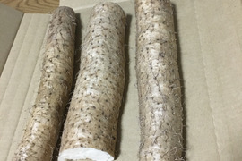 大分県産自然薯