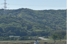 【令和7年新米】渥美半島コシヒカリ　白米9kg