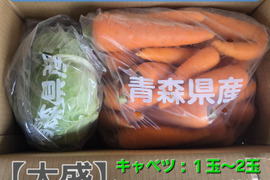 サラダやジュースにも！甘味野菜セット
有機キャベツ×有機人参【大盛】