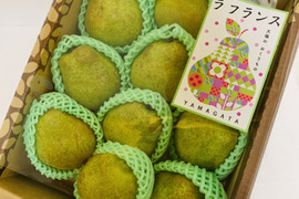 【冬ギフト】山形特選ラフランス【3キロ2L10玉】