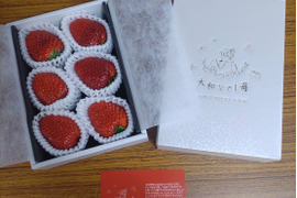 大和なでし苺　古都華　5〜6粒入り　特大　いちご　350g 奈良県　橋本農園　イチゴ 化粧箱