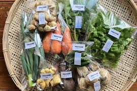 ☆贈答用☆【旬を楽しむ♪】おまかせお野菜セットA（約7～10品）
大切なあの方へ送るお野菜のプレゼントはいかがでしょうか。