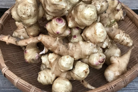 罪悪感がない芋！　菊芋　1.2kg