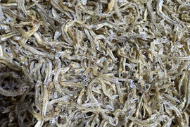 倉橋ちりめん　５００ｇ