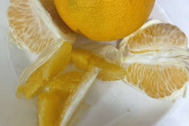 果汁たっぷり！　和歌山産　八朔　家庭用　大容量　9kg