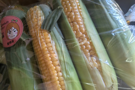 ✨️お得！！✨️１０本入り✨️先端カット🌽　✨️
お得なお値段設定の訳は　

規格外の理由を
必ずご確認くださいませ