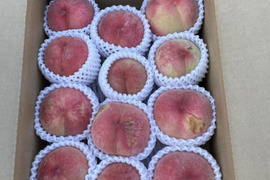 ★農薬節減 ★完熟　川中島　白桃　約3kg 約9玉〜12玉 ご家庭用にも !!