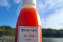 laNui labo.　肥のあけぼの+ローゼルシロップ150㎖/本×3本　🍊デコポン発祥の地・不知火町より