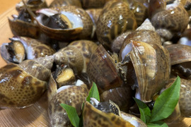 【高級貝！】冷凍黒バイ貝！500g×2袋/下処理済み