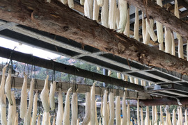 田舎の冬の自家製乾物セット はりはり大根　干し柿　干し芋　干し大根