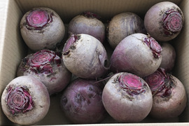 Beets Box ビーツボックス　真っ赤なビーツ80サイズ4キロ