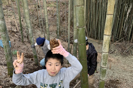 朝採りタケノコはいかがでしょうか？2kg