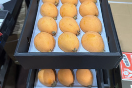 お客様感謝ケース!!!!ながさきびわ"3L12玉"完熟