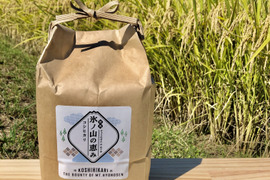【令和4年産】蛇紋岩コシヒカリ白米2k お米「氷ノ山の恵み」