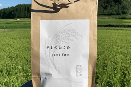 ★数量限定予約販売★『やまのおこめ-ヒノヒカリ』白米5ｋｇ【令和４年度米】