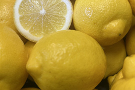 皮ごと食べれる朝採れイエローレモン4kg