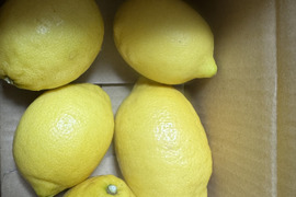1キロ【防腐剤・ワックス不使用】ユーレカレモン　和歌山県産　秀品から傷アリまで混合です。