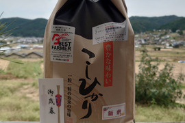 ギフト:雪の米(コシヒカリ)親しい方への贈物、味.香り最高!(5kg精米)