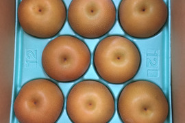 甘いのに後味サッパリ！あきづき(5kg)