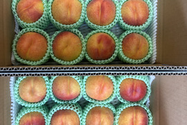 🉐2026年予約【お中元】大人気！！長野県産桃【ワッサー】特選3kg